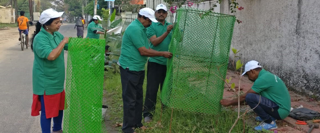 Fixing tree guards in kochi